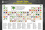 Poster - Periodic Table of Microbiome-friendly Foods